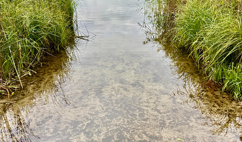Königs Wusterhausen - Hanglage nah am Zeesener See