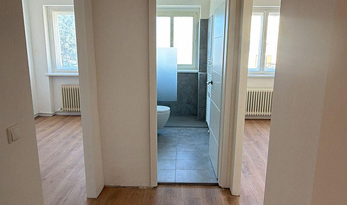 Renovierte Helle 2 Zimmer Whg mit Süd mit Balkon