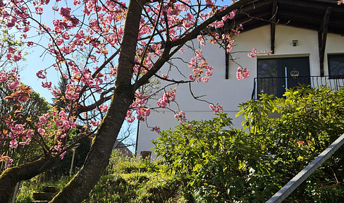 Einfamilienhaus in zentraler Lage