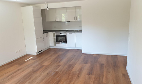 Schöne modernisierte Souterrain Wohnung und Gartenmitbenutzung.