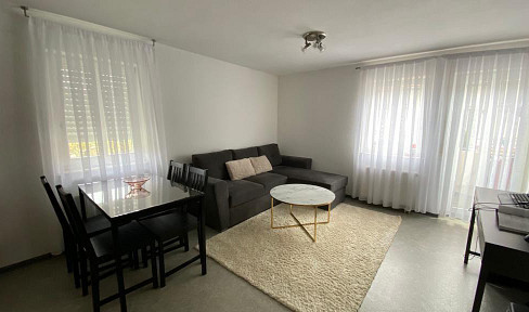 1,5 Zimmerwohnung im Welfenpalais in der Oberstadt
