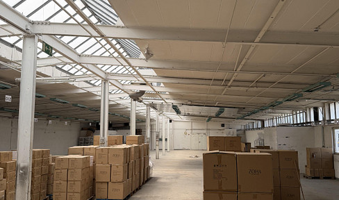Preisgünstige Industriehalle in Viernheim – kurzfristig verfügbar & ohne Provision