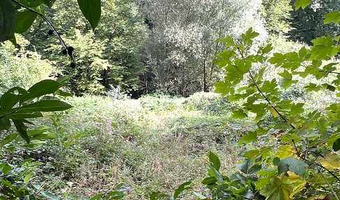 Individuell Bauen mitten im Grünen
