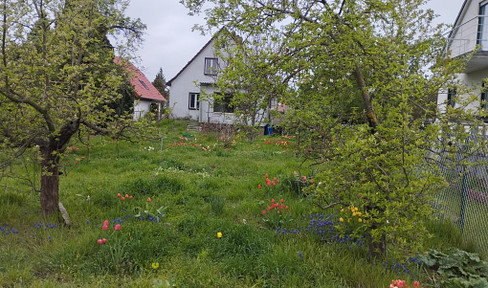 Einfamilienhaus Grundstück 1019m2