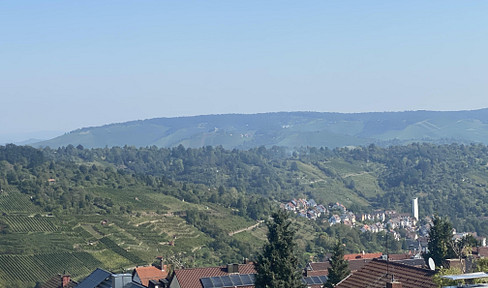 Living with a panoramic view over the vineyards.
