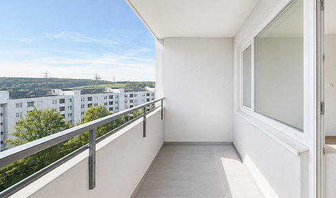 Renovierte, helle und bezugsfreie 3 Zi. Wohnung mit Weitblick (Erstbezug nach Renovierung)