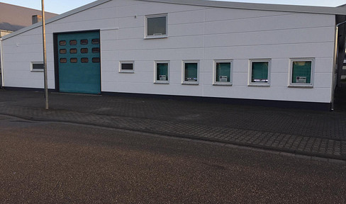 Bürstadt 810 m2 Produktion- / Lagerhalle zur Miete beheizt, optional 160 m2 Bürofl. im 1.OG