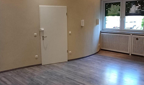 Ein-Zimmer-Wohnung in Erbach mieten mit Einbauküche