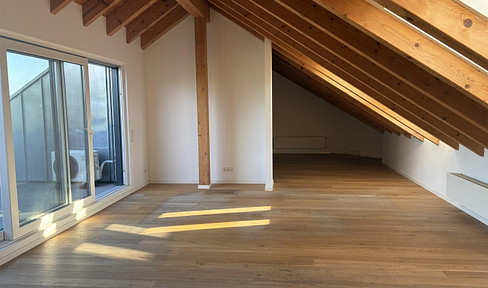 Loft apartment in the town center of Ludwigshafen-Maudach.