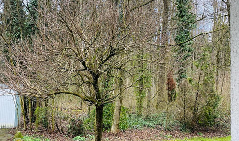 Die Wohnung ist eher praktisch und gemütlich als modern eingerichtet