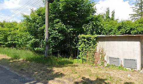 Undeveloped plot of land in the beautiful Oderbruch region, located in Sachsendorf/Oderbruch.