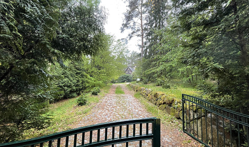 Mitten im Wald: Großzügiges Einfamilienhaus für Jung und Alt mit viel Privatsphäre