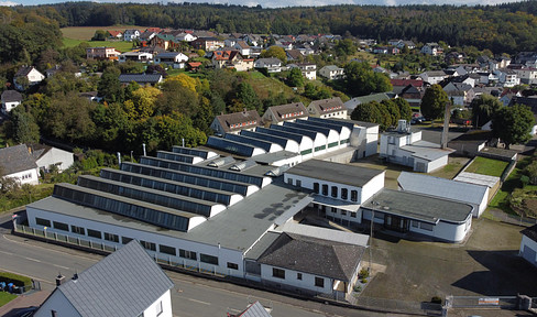 Versatile commercial hall, 1,000 square meters, with a 3-ton overhead crane, located near Weilburg – available without commission.