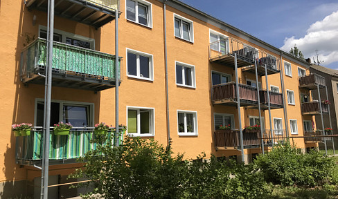Newly renovated 4-room apartment with two balconies.