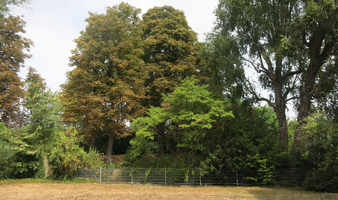 Schönes Apartment in Köln-Mülheim in ruhiger Bestlage mit Gartenblick