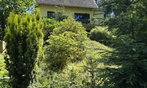 Two houses in Bonn-Ippendorf, located on a picturesque wooded plot.