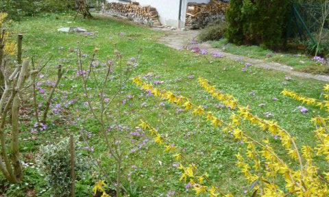 For nature lovers: A holiday home located in the heart of nature, close to the mountains and a lake.