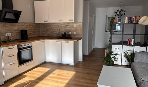 City center apartment, 1 room, kitchen, bathroom, furnished.