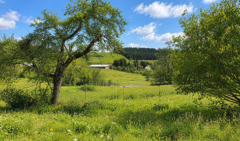 2.443 square meters of building land with a positive preliminary building permit – plenty of space and panoramic views.