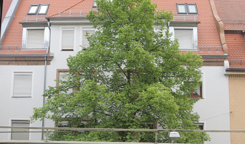 Nibelungenviertel: Bright and airy apartment with a large balcony.