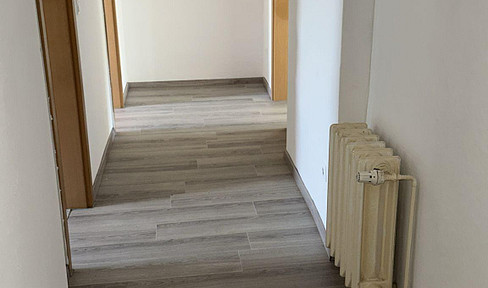 ! Roßlau - renovierte - 2 - Raum - Wohnung ! AB SOFORT ! M33