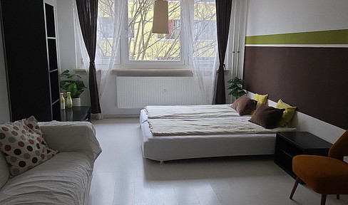 Beautiful, unfurnished one-room apartment in Mitte, near Alexanderplatz.