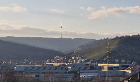 Immediately available: Furnished one-room apartment with a kitchen, located near the S-Bahn (suburban train) in Stuttgart-Obertürkheim.