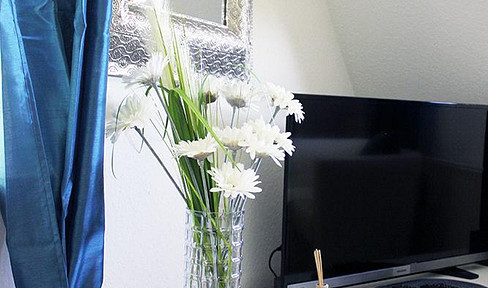 !! Immediately available: small, fully furnished 1-bedroom apartment !!