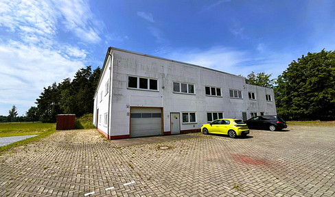 Vielseitige Gewerbeimmobilie in Liebenau: Büro, Produktion & Lager mit großem Grundstück