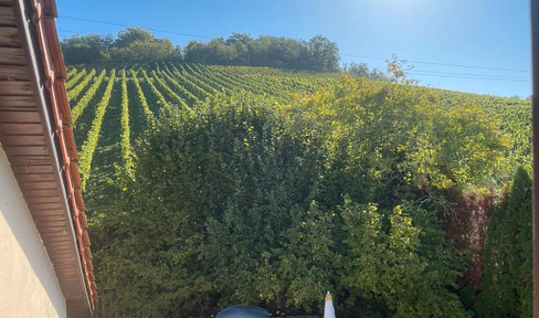 Dreamlike panoramic views over Maintal and the vineyards, in a prime location for summer homes.