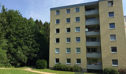 Large 4-room apartment with a view of the forest.