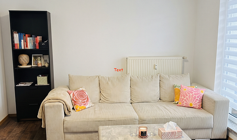 Furnished, newly renovated apartment with a large sun terrace – no agency fees.