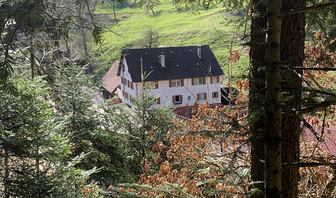 Bauernhaus in Alleinlage zu verkaufen