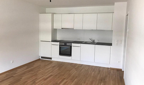 Newly built 2-room apartment with fitted kitchen.