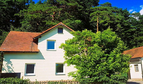 Reduzierter Preis u. provisionsfrei : Charaktervolles Einfamilienhaus im Grünen mit Dachterrasse