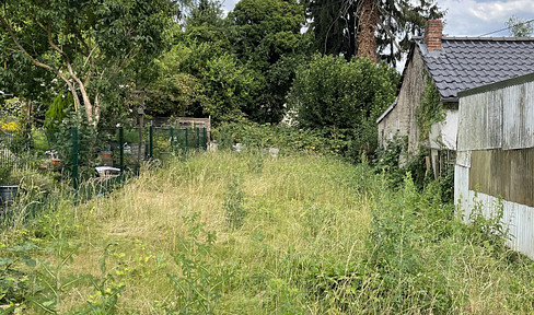 Sport-, Freizeit- und Erholungsfläche in 56567 Neuwied zu vermieten