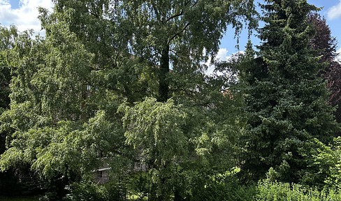 Helle 2,5 Zimmer Wohnung mit großem Balkon in Stadtpark-Nähe