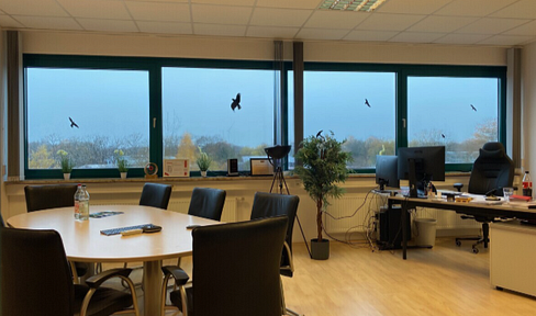 Office spaces ranging from 347 to 440 square meters are available, with the option to add between 800 and 2100 square meters of warehouse space (which can be heated).