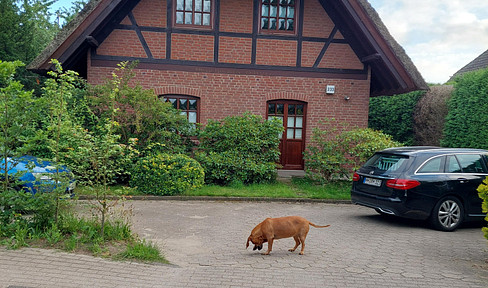 Small semi-detached house.