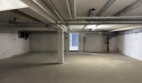 136 m² Lagerfläche in LU-Süd Lager / Handwerk ...