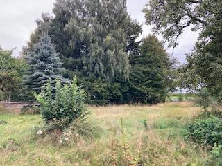Wohnen im Grünen - Grundstück mit Baugenehmigung für ein Reihenhaus mit 4 Wohneinheiten
