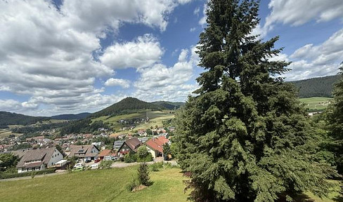 Exclusive 1-bedroom apartment in Baiersbronn – Featuring a swimming pool, recreational area, and balcony.