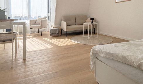 Furnished one-room apartment in the city center of Mannheim - renovated and available immediately.