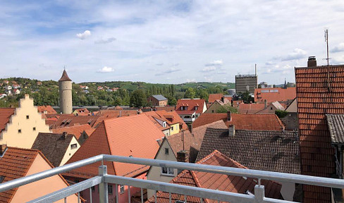 2x Wohnungen 2,5ZKBBWC+3,5ZKN als Maison-Whg,Aufzug+grosse Dachterrasse 5Jahre jung