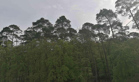 Komplett möblierte 3 Zimmer Wohnung am Wald, nahe zur internationalen Schule