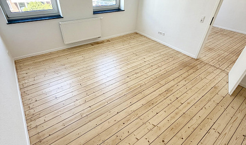 Completely Renovated! 2 Rooms + Living Room/Kitchen + Bathroom.