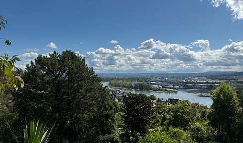 Traumhafte Terrassenwohnung mit Rheinblick & Naturpark vor der Tür