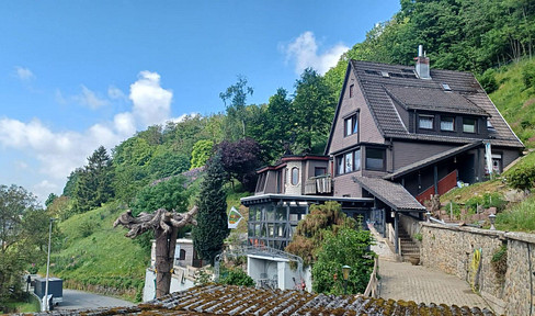 Nature Panorama House.