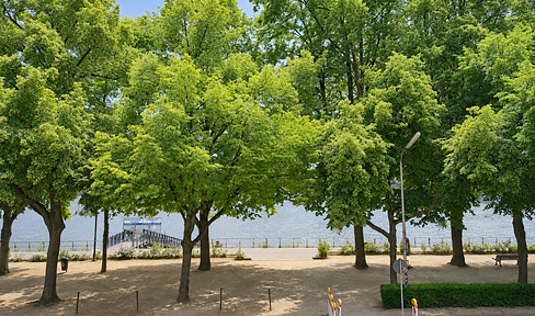 Bonner city center, first location on the Rhine.