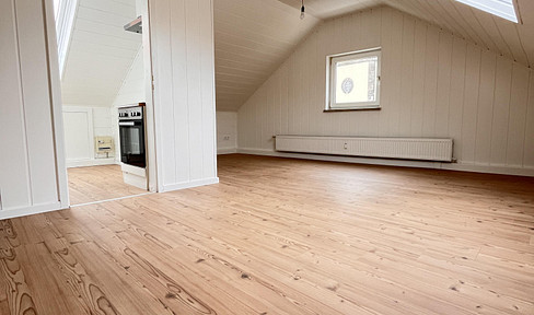 Cozy, modern apartment in a central location in Elze, featuring a fully equipped kitchen.
